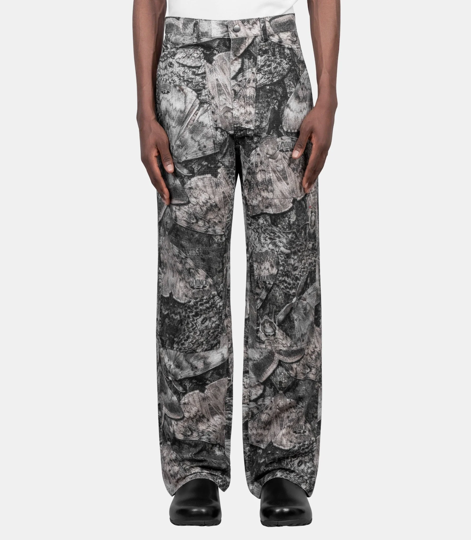Pantalon fomes moth